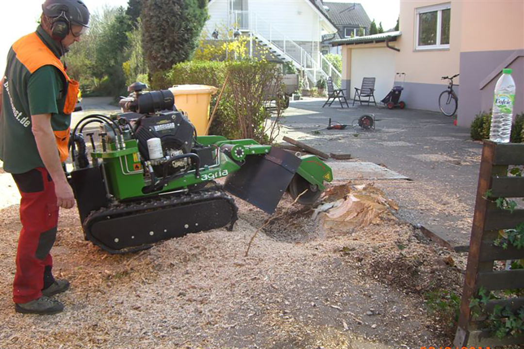 Bild 4