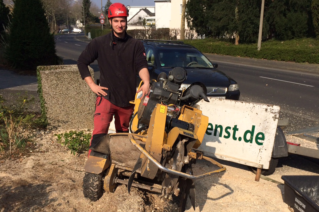Bild 0